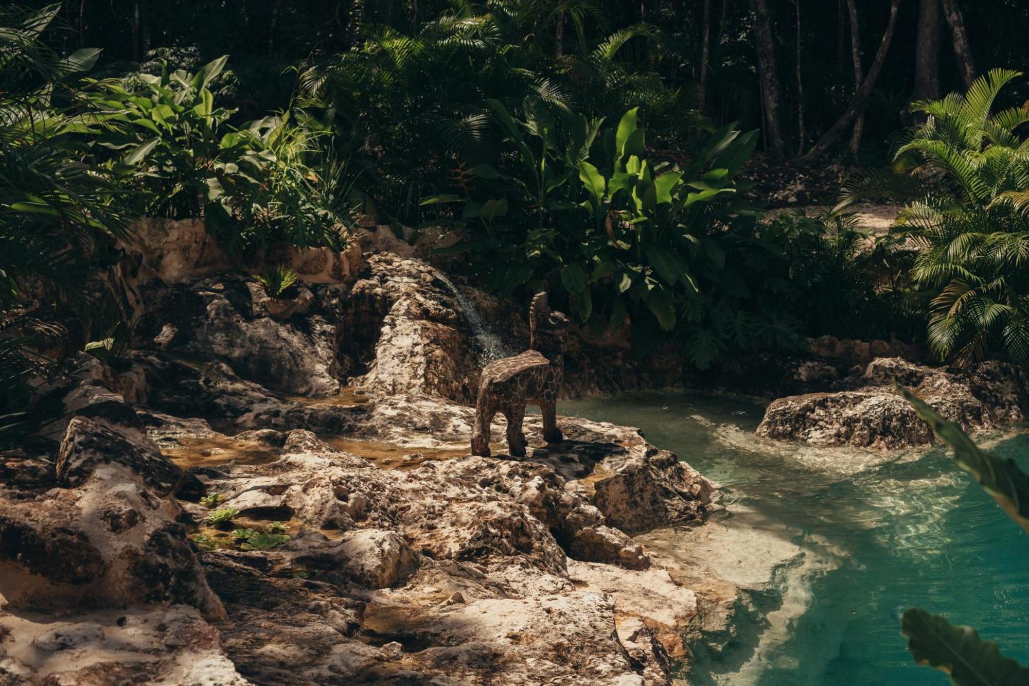 Amaite Retreat Tulum Ξενοδοχείο Macario Gomez Εξωτερικό φωτογραφία